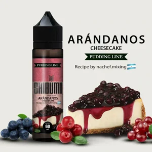Shibumi Arandanos Cheescake 60 y 120 Ml.